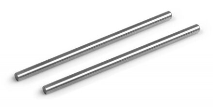 REAR WISHBONE PIVOT PIN LOWER T1FK'05 (2)