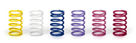 XRAY SELECTED ULTIMATE RACING SPRINGS (24)