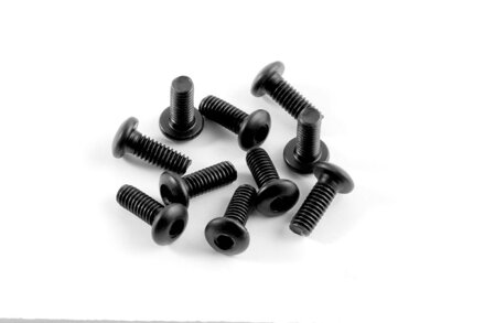 HEX SCREW SH M4x10  (10)