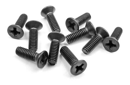 SCREW PHILLIPS M 2.5x8  (10)