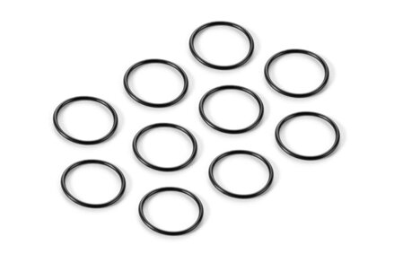 O-RING 13 x 1.0  (10)