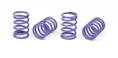 XRAY SPRING-SET D=1.7 (28 LB) VIOLET - MEDIUM (4)