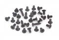 BLACK HEX AND PHILLIPS SCREW SET FOR T1  (31)