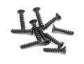 SCREW PHILLIPS FH 2.5x12  (10)