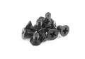 SCREW PHILLIPS M 2.5x4  (10)